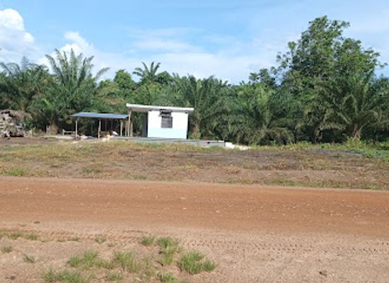 cote-d-ivoire/sassandra/attraction/tai-national-park