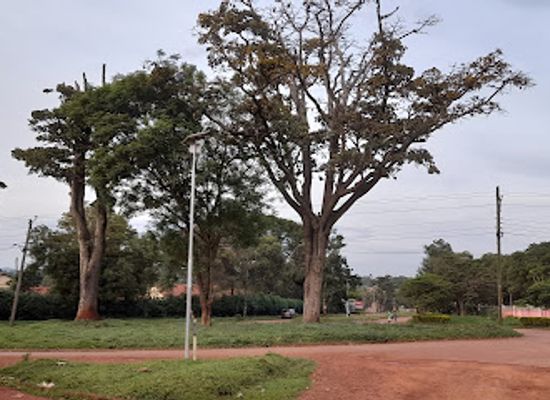 uganda/jinja/attraction/indian-square