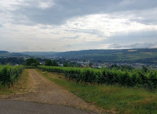 luxembourg/grevenmacher/attraction/wandertouren