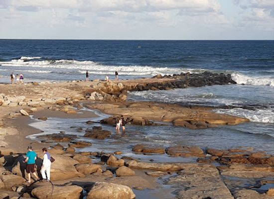 australia/sunshine-coast/attraction/mary-cairncross-scenic-reserve