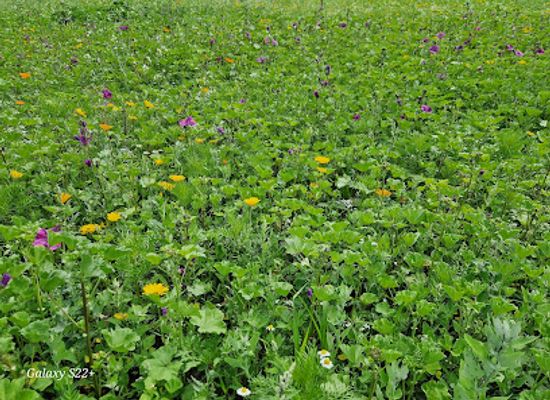 poland/podlachia/attraction/bulwary-blicharskiego
