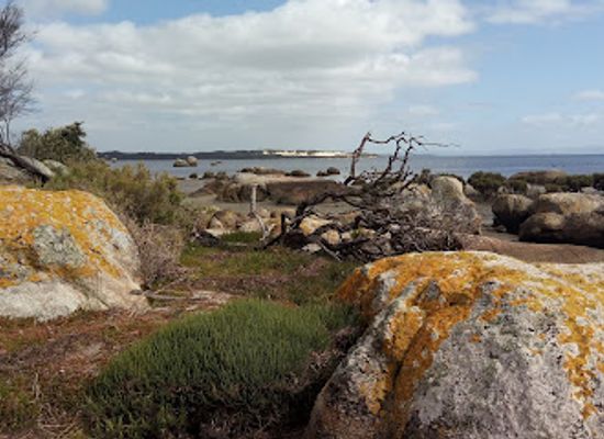 australia/wilson-s-promontory-national-park/attraction/millers-landing