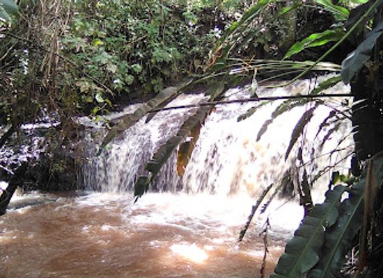 cameroon/west-region/attraction/tonepi-waterfalls-mbouda