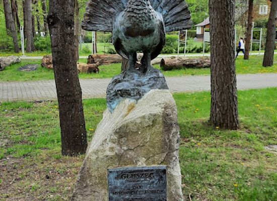 poland/roztocze-national-park/attraction/gluszec-symbol-roztocza