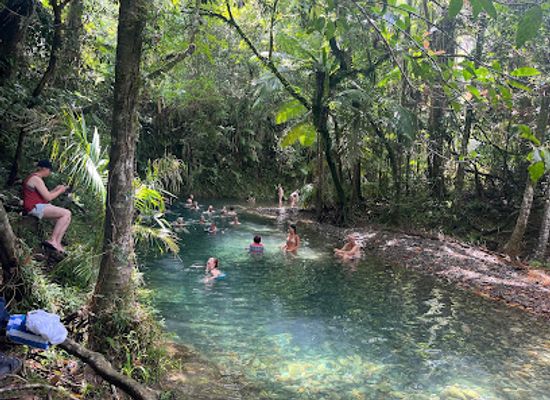 australia/cape-tribulation/attraction/tony-s-tropical-tours