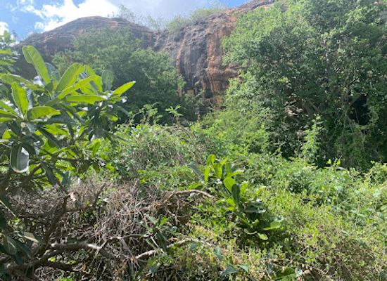 kenya/taita-hills/attraction/rukinga-wildlife-sactuary