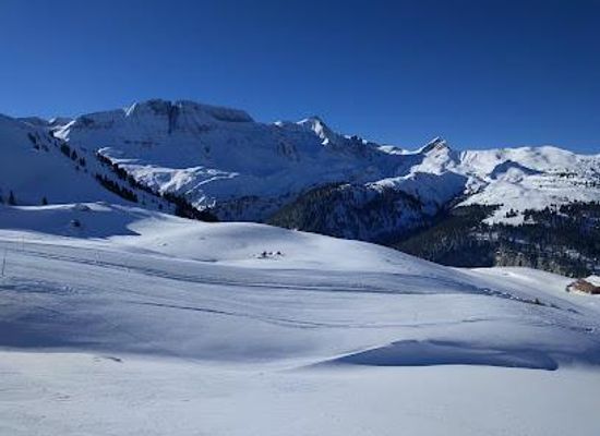 switzerland/grindelwald/attraction/axalp