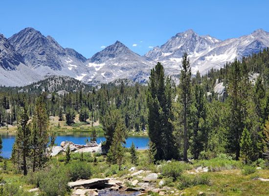 california/sierra-nevada/attraction/inyo-national-forest
