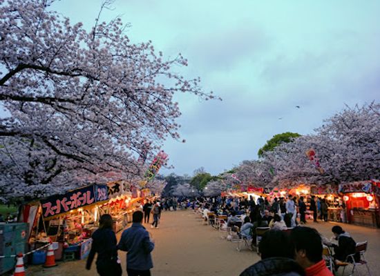 japan/chikuzen/attraction/maizuru-park-sannomaru-plaza