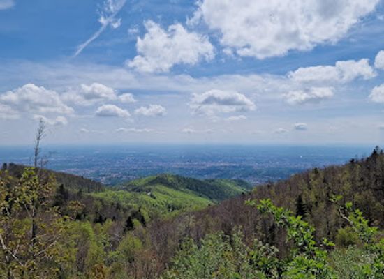 croatia/medvednica-mountain/attraction/vista-view-point