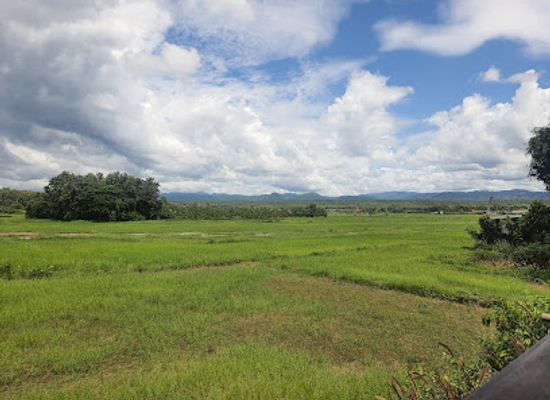 thailand/phi-pan-nam-range/attraction/rai-homfa