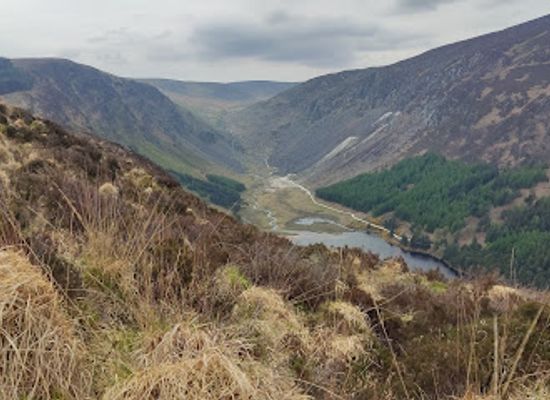 ireland/leinster/attraction/the-spinc