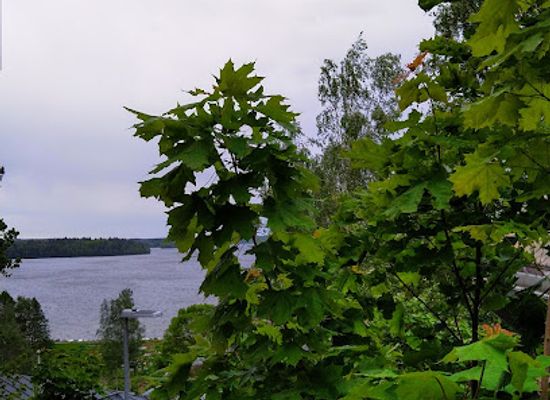 finland/tampere/pispala/attraction/lauri-viita-museo