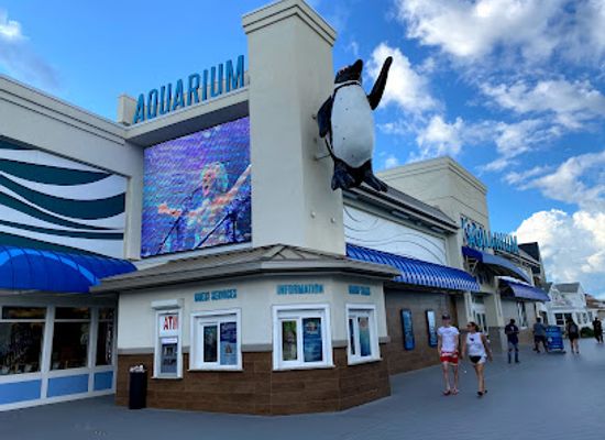 new-jersey/seaside-heights/attraction/jenkinson-s-aquarium