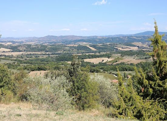italy/val-di-chiana/attraction/tomba-della-quadriga-infernale