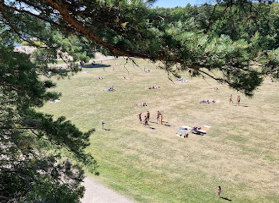sweden/sodermanland/attraction/upzone-aventyrspark-i-oxelosund