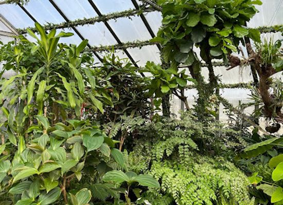 latvia/kurzeme/attraction/taurinu-maja-butterfly-house