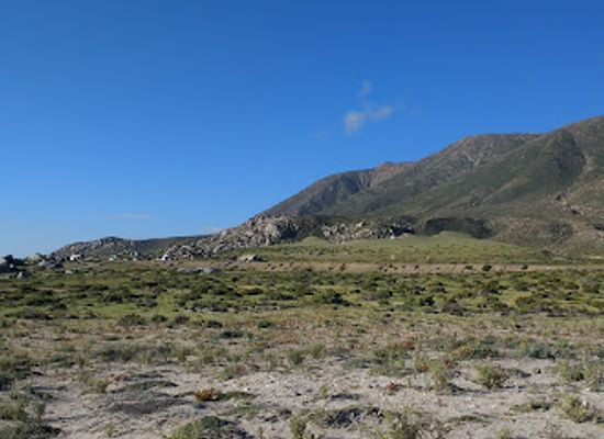 chile/central-valley/attraction/parque-nacional-llanos-de-challe
