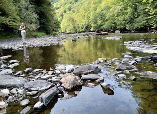 belgium/la-roche-en-ardenne/attraction/the-herou-natural-park-of-the-two-ourthes