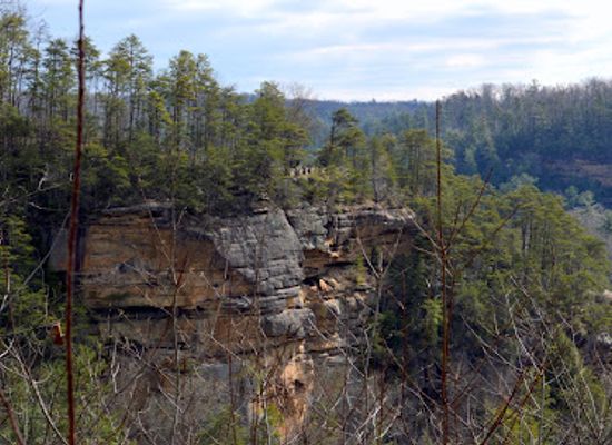 kentucky/eastern-mountain-coal-fields/attraction/red-river-gorge-geological-area