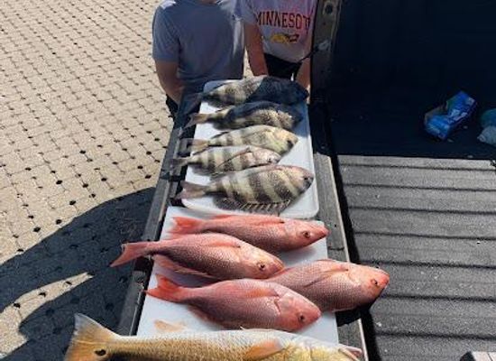 alabama/fairhope/attraction/blue-water-charters-llc