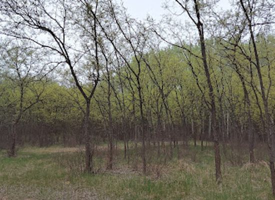 serbia/backa/attraction/suma-palic-erdo-palics