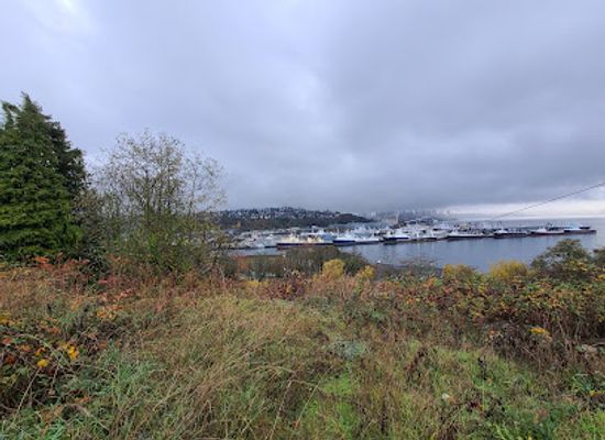 washington/puget-sound/attraction/ursula-judkins-viewpoint