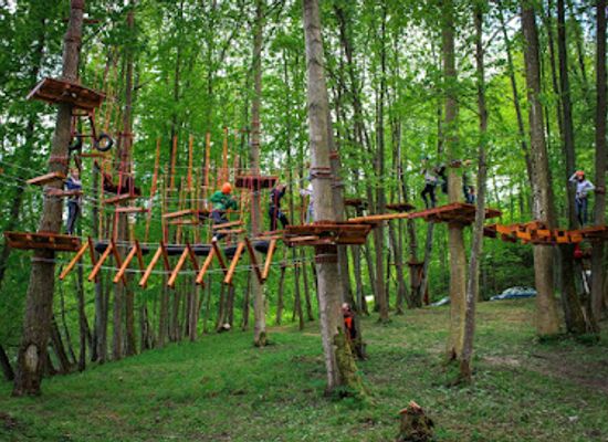 poland/warmia/attraction/rope-park-wiewiora