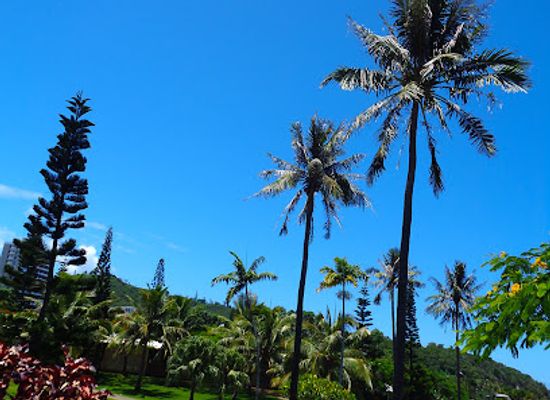 new-caledonia/baie-des-citrons/attraction/place-de-la-promenade