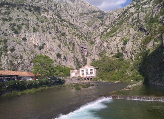 montenegro/piva/attraction/kotor-cats-museum