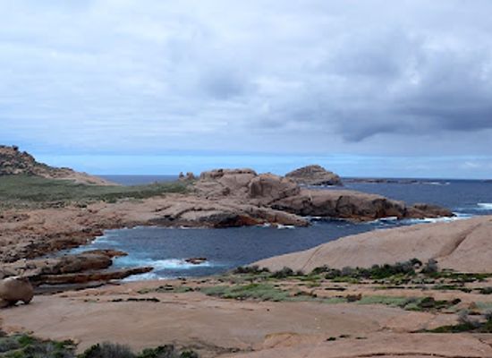 australia/eyre-peninsula/attraction/pearson-island