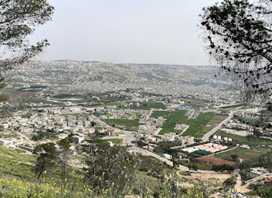 jordan/dibeen-forest/attraction/scandinavian-forest