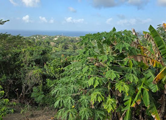grenada/saint-david/attraction/snell-hall