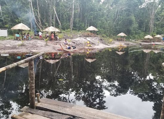 guyana/essequibo-islands-west-demerara/attraction/netsurf-nature-park