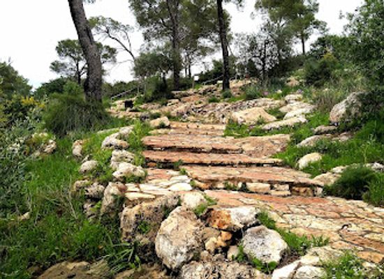israel/beit-she-an/attraction/maarat-hanetifim