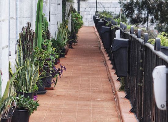 gibraltar/casemates-square/attraction/gibraltar-distillery-company