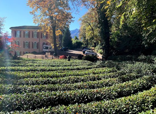 switzerland/ascona/attraction/japanischer-teegarten