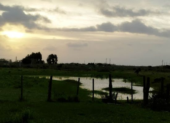 uruguay/valizas/attraction/sendero-a-la-laguna