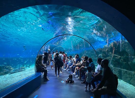 philippines/national-capital-region-ncr/attraction/manila-ocean-park