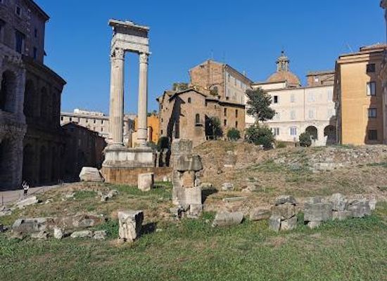 italy/rome/attraction/temples-of-apollo-sosiano-bellona