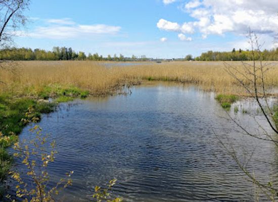 finland/espoo/leppavaara/attraction/iso-huopalahti-bird-watching-area