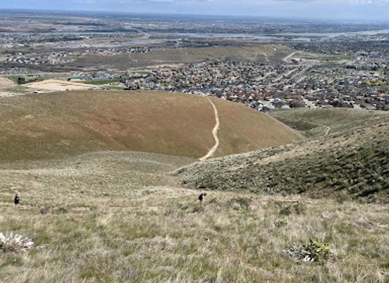 washington/the-tri-cities/attraction/badger-mountain-centennial-preserve