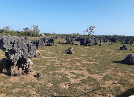 kenya/kilimanjaro-region/attraction/shimoni-slave-caves
