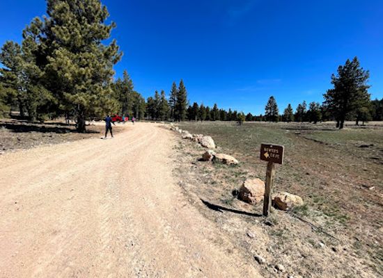 utah/dixie-national-forest/attraction/bowers-caves