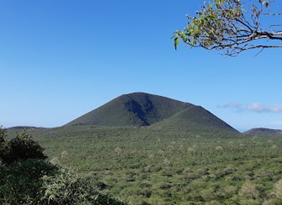 ecuador/galapagos-islands/attraction/peace-haven