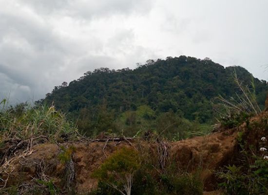 papua-new-guinea/mount-hagen/attraction/kuwang-pana-rapketa