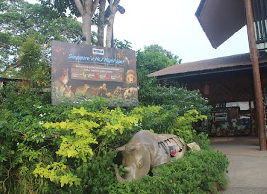 singapore/bukit-batok/attraction/night-safari