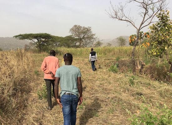 uganda/kidepo-valley-national-park/attraction/longeleya-birding-trail