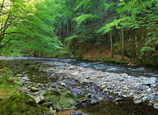 romania/parang-mountains/attraction/cascada-vaidei