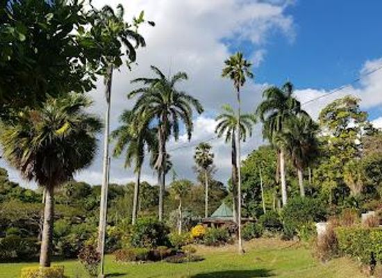 trinidad-and-tobago/scarborough/attraction/scarborough-botanical-garden
